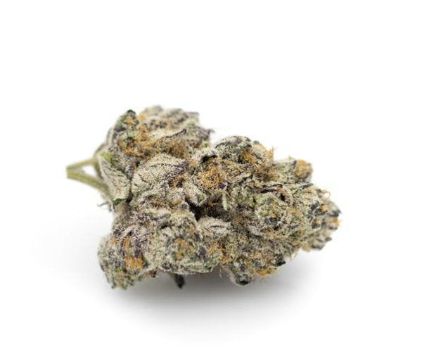 Buy ice cream cake weed strain online