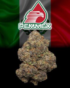 Buy Pemmex weed strain online