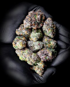 Buy Tutti Frutti Strain Today