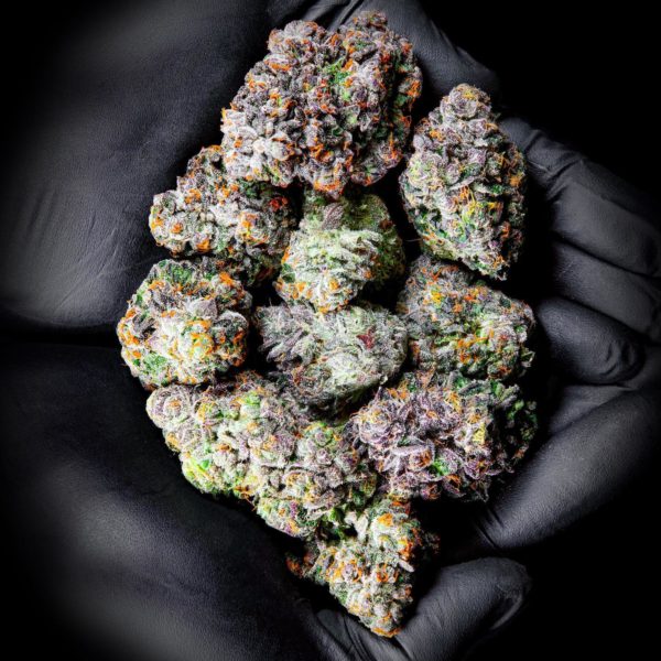 Buy Tutti Frutti Weed Strain Near My Area