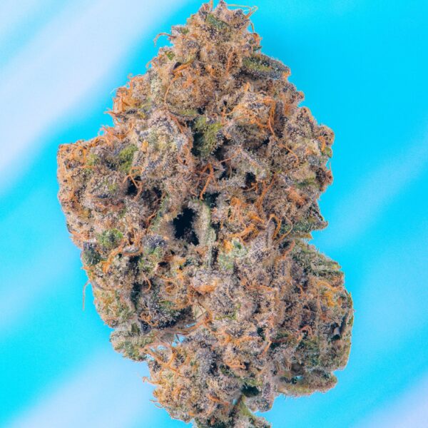 Baby Powder Strain by Cookies
