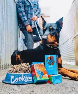 Buy The Doggy Bagg Strain Online Near Me