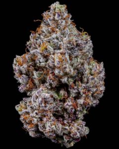 Buy Banana Sherbet Strain Near Me