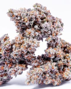 Buy Orange Apricot Strain Online Near Me