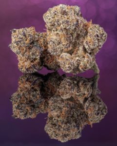 Buy Oreo Cookies Strain Strain Online Near Me