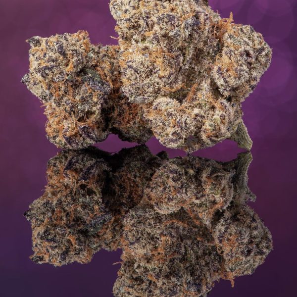 Buy Oreo Cookies Strain Strain Online Near Me