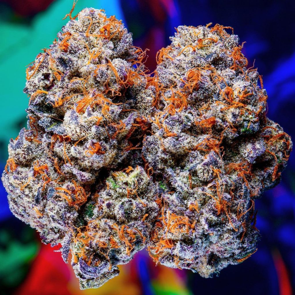 Buy That Badu by Erykah Badu Buy Erykah That Badu Strain