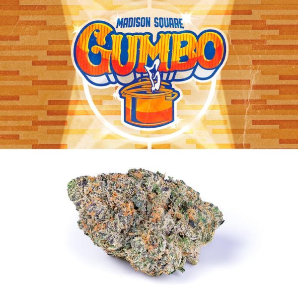 Buy Madison Square Gumbo Strain Online Today