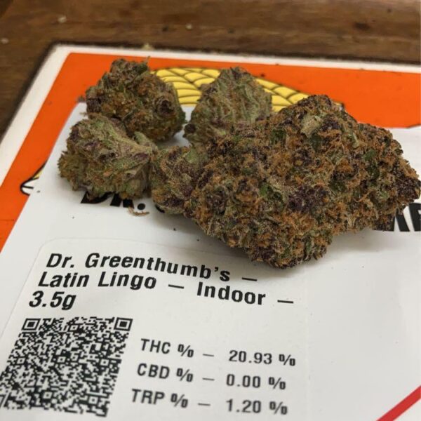 Buy Dr. GreenThumbs Latin Lingo Strain