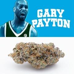 Gary Payton Cookies | Gary Payton Strain