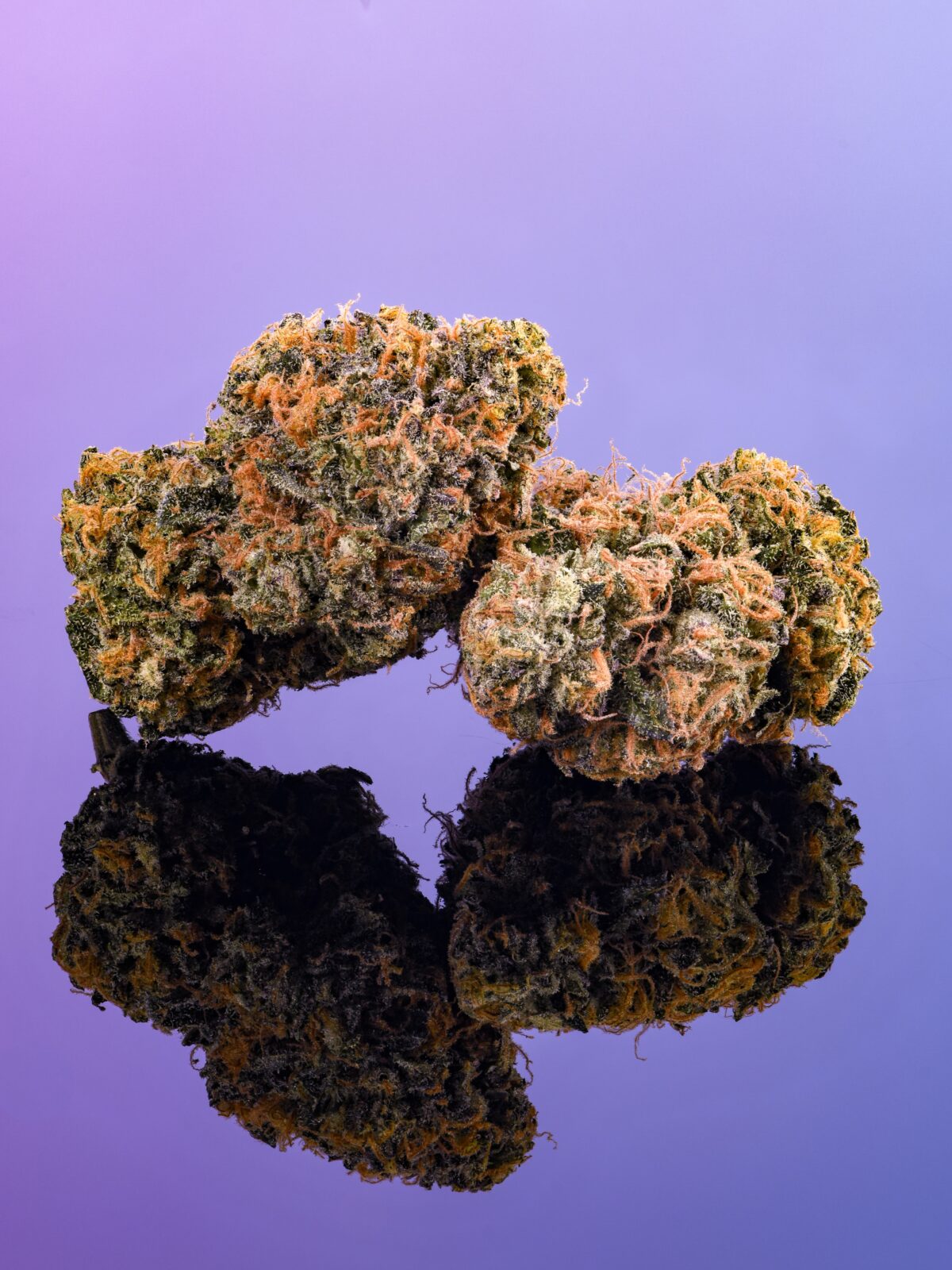 Buy Bruce Banner Strain Near Me | Bruce Banner Weed Strain