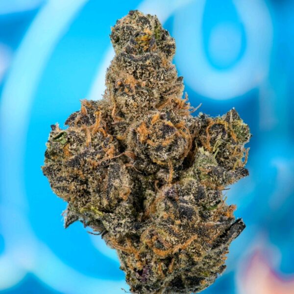 Buy Cookies Fried Banana Strain | Fried Banana Weed Strain Cookies | Fried Banana Seeds by Cookies Seed Bank